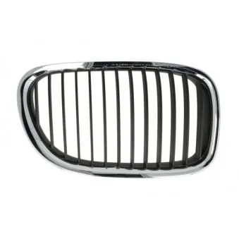 Grille de radiateur avant droit BLIC 6502-07-0077992P