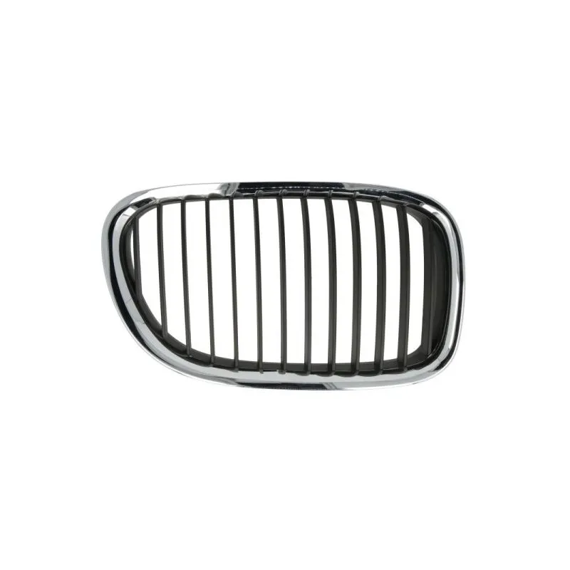 Grille de radiateur avant droit BLIC 6502-07-0077992P