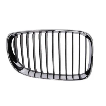 Grille de radiateur BLIC 6502-07-0085992PP
