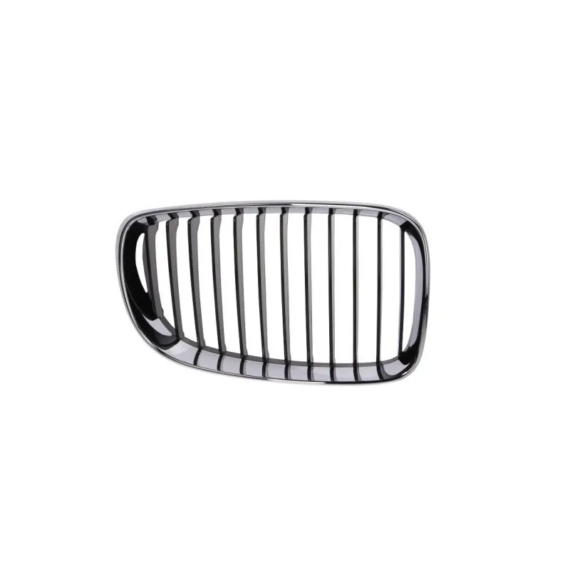 Grille de radiateur BLIC 6502-07-0085992PP