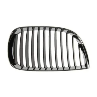 Grille de radiateur BLIC 6502-07-0085994P