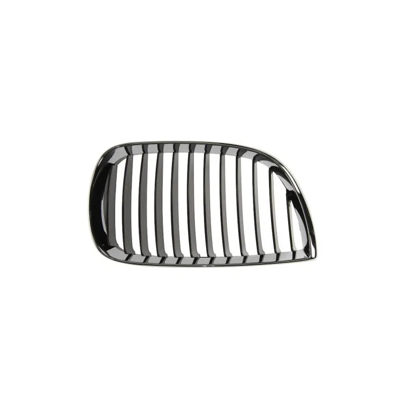 Grille de radiateur BLIC 6502-07-0085994P