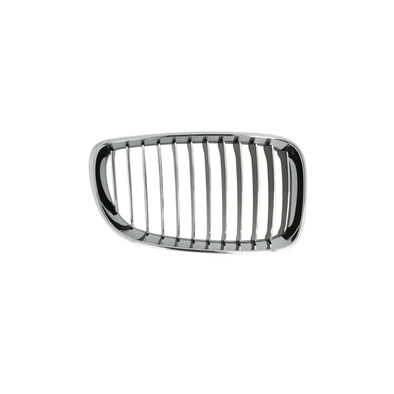 Grille de radiateur avant droit BLIC 6502-07-0085996P