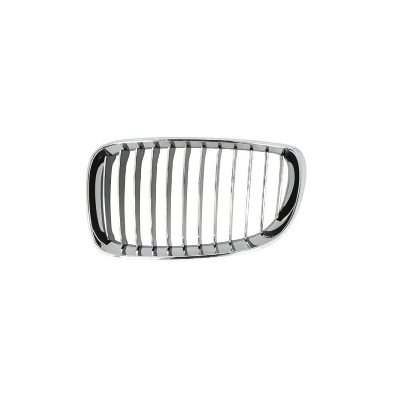 Grille de radiateur avant gauche BLIC 6502-07-0085997P
