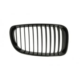 Grille de radiateur avant droit BLIC 6502-07-0085998P