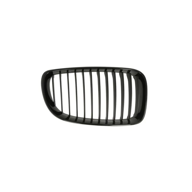 Grille de radiateur avant droit BLIC 6502-07-0085998P