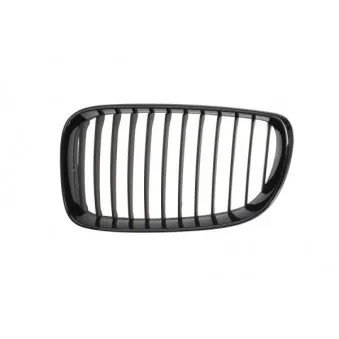 Grille de radiateur avant gauche BLIC 6502-07-0085999P