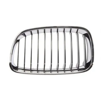 Grille de radiateur BLIC 6502-07-0086991P