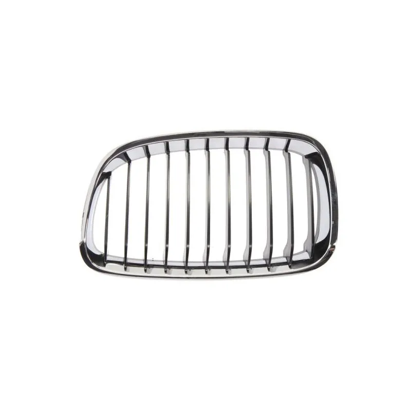 Grille de radiateur BLIC 6502-07-0086991P