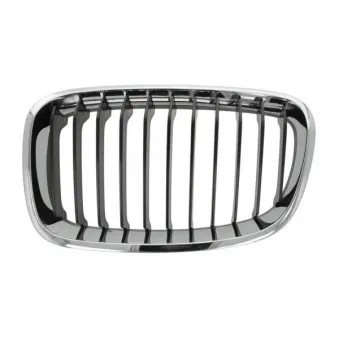 Grille de radiateur BLIC 6502-07-0086991Q