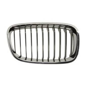 Grille de radiateur BLIC 6502-07-0086992P