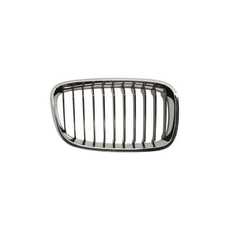 Grille de radiateur BLIC 6502-07-0086992P