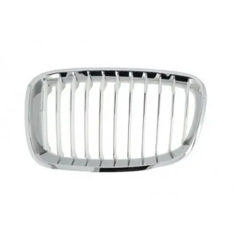 Grille de radiateur avant gauche BLIC 6502-07-0086993P