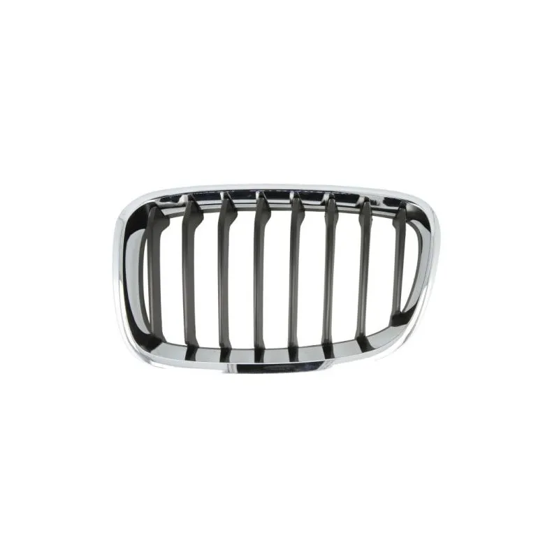 Grille de radiateur avant gauche BLIC 6502-07-0086995P