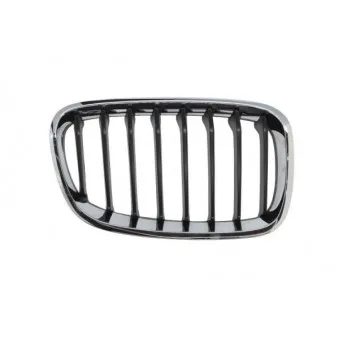 Grille de radiateur avant droit BLIC 6502-07-0086996P