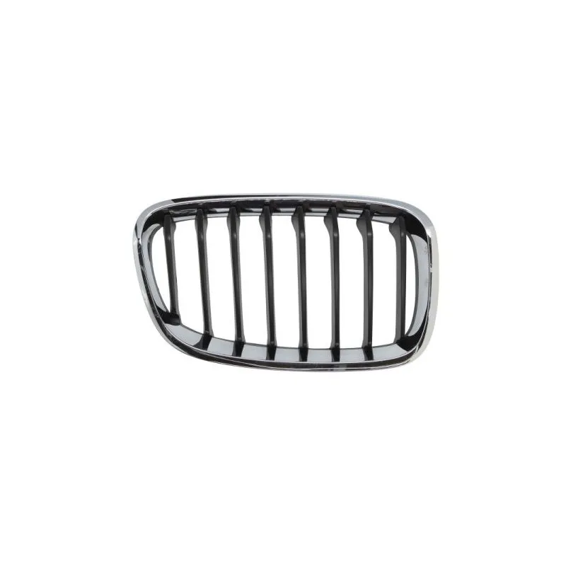 Grille de radiateur avant droit BLIC 6502-07-0086996P