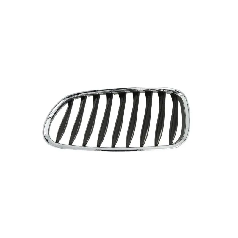 Grille de radiateur avant gauche BLIC 6502-07-0089991P