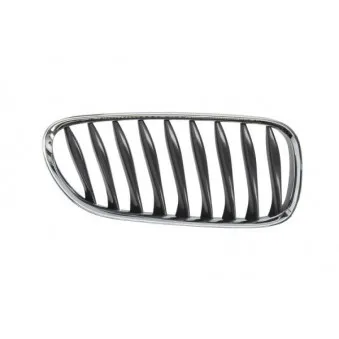 Grille de radiateur avant droit BLIC