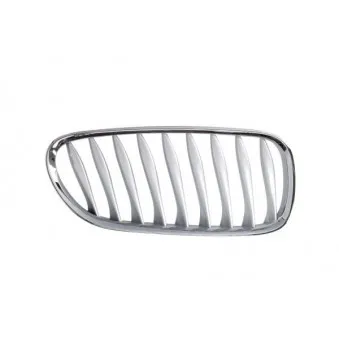 Grille de radiateur avant droit BLIC