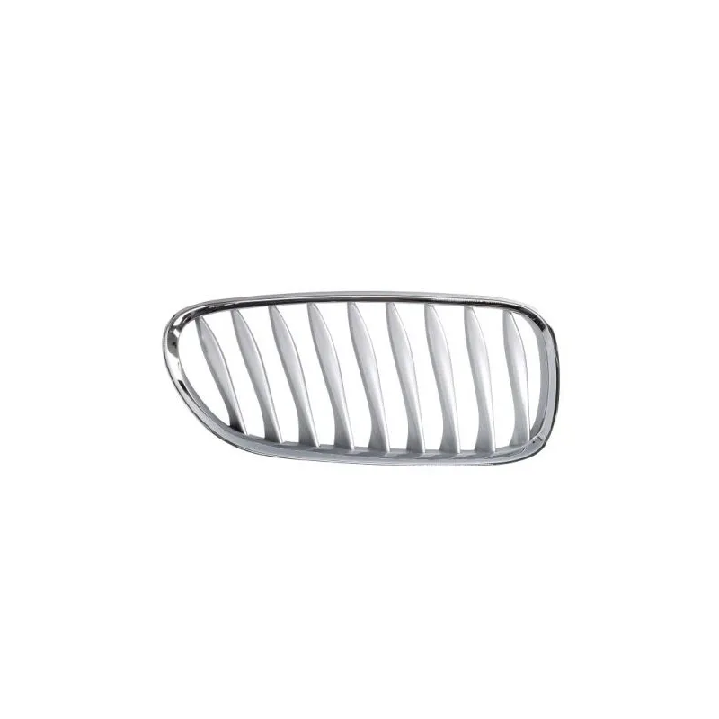 Grille de radiateur avant droit BLIC 6502-07-0089994P