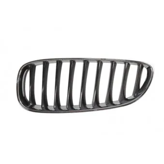 Grille de radiateur avant gauche BLIC 6502-07-0089995P