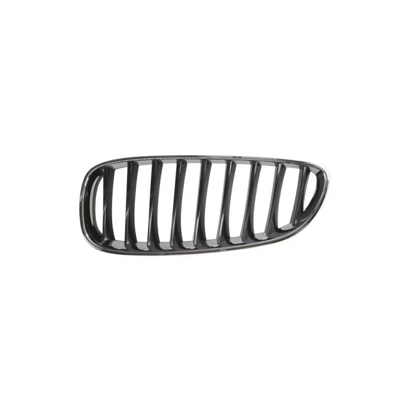 Grille de radiateur avant gauche BLIC 6502-07-0089995P