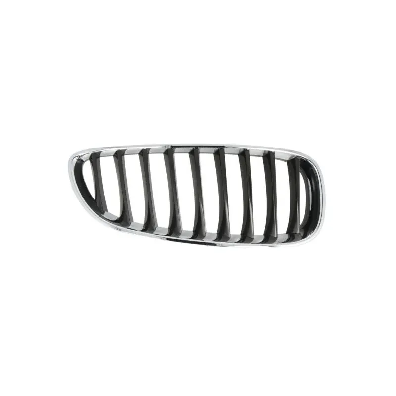 Grille de radiateur avant droit BLIC 6502-07-0089996P