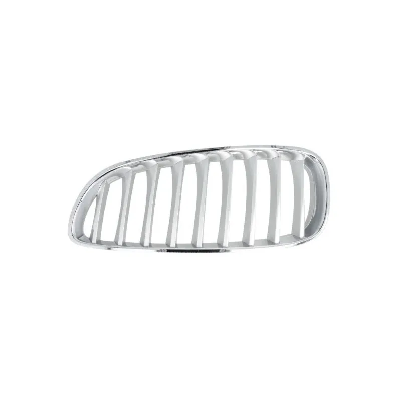 Grille de radiateur avant gauche BLIC 6502-07-0089997P