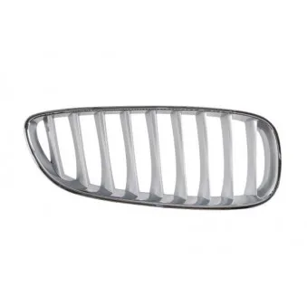 Grille de radiateur avant droit BLIC 6502-07-0089998P