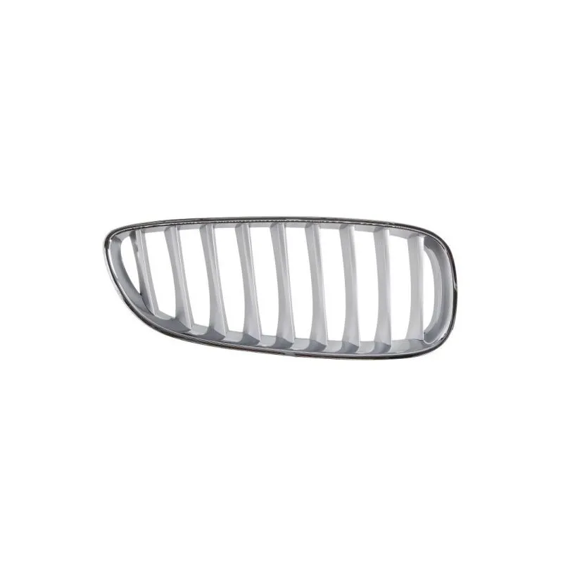 Grille de radiateur avant droit BLIC 6502-07-0089998P