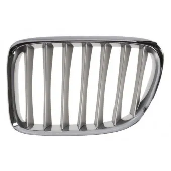 Grille de radiateur avant gauche BLIC 6502-07-0092993P