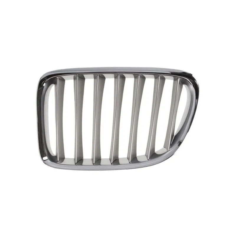 Grille de radiateur avant gauche BLIC 6502-07-0092993P
