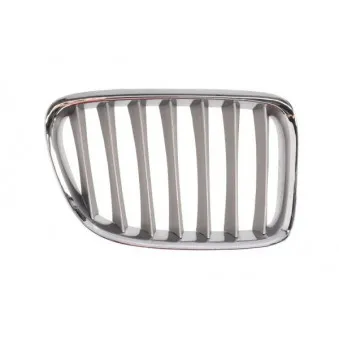 Grille de radiateur avant droit BLIC 6502-07-0092994P