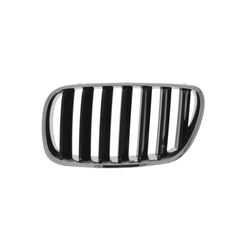 Grille de radiateur avant gauche BLIC 6502-07-00939910P
