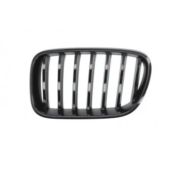 Grille de radiateur BLIC 6502-07-00939911P