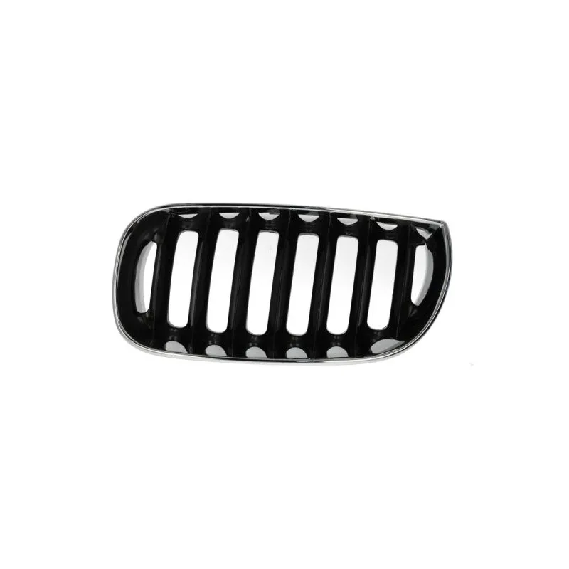 Grille de radiateur BLIC 6502-07-0093991P