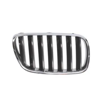 Grille de radiateur avant droit BLIC 6502-07-00939920P