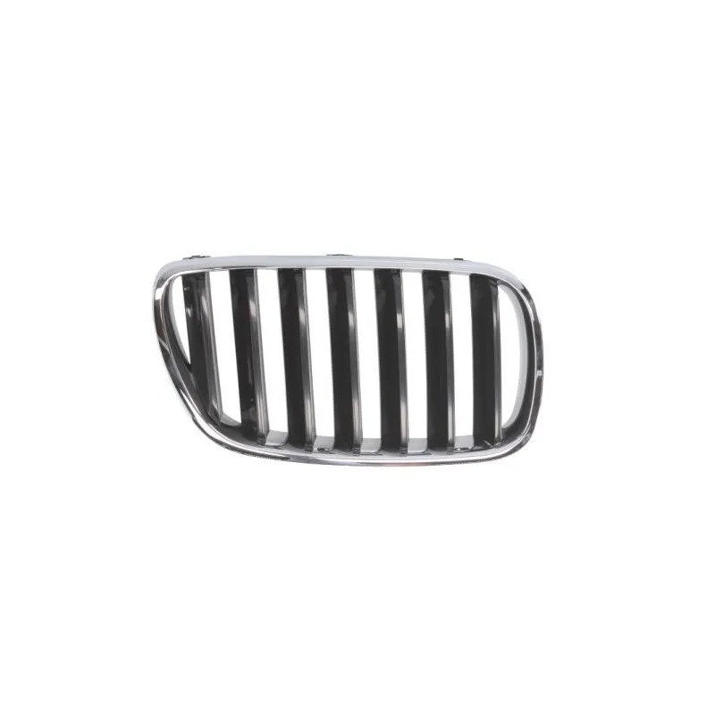 Grille de radiateur avant droit BLIC 6502-07-00939920P