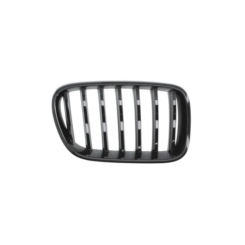 Grille de radiateur BLIC 6502-07-00939922P