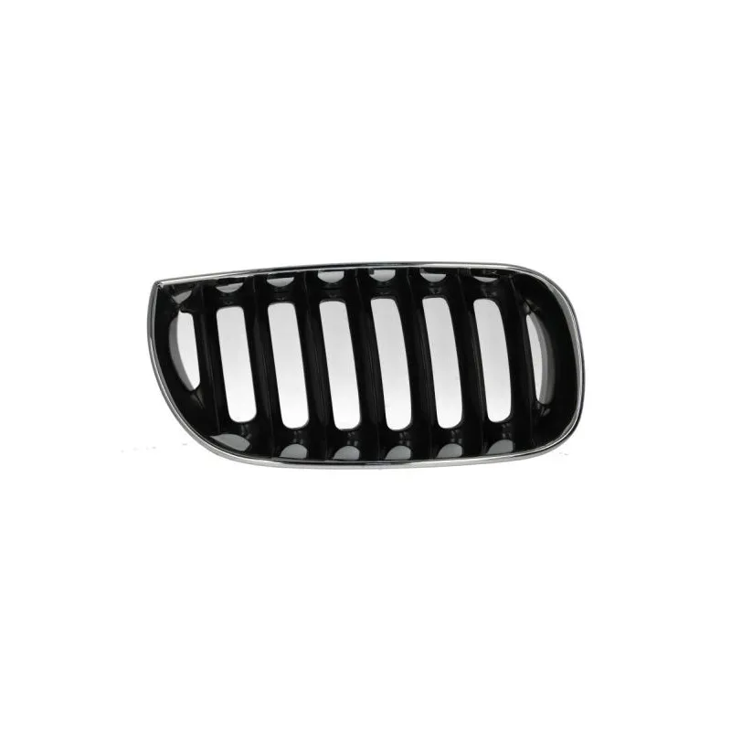 Grille de radiateur BLIC 6502-07-0093992P