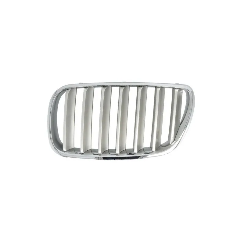 Grille de radiateur avant gauche BLIC 6502-07-00939930P