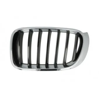 Grille de radiateur avant gauche BLIC 6502-07-00939933P