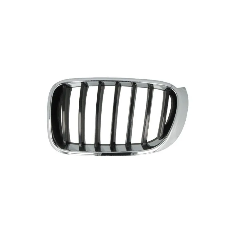 Grille de radiateur avant gauche BLIC 6502-07-00939933P