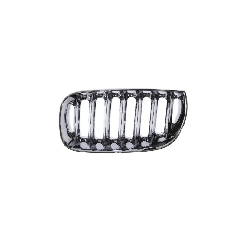 Grille de radiateur BLIC 6502-07-0093993P