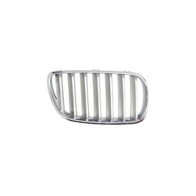 Grille de radiateur avant droit BLIC 6502-07-00939940P