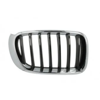Grille de radiateur avant droit BLIC 6502-07-00939944P