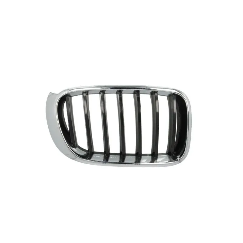 Grille de radiateur avant droit BLIC 6502-07-00939944P