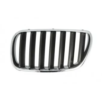 Grille de radiateur avant gauche BLIC 6502-07-00939950P