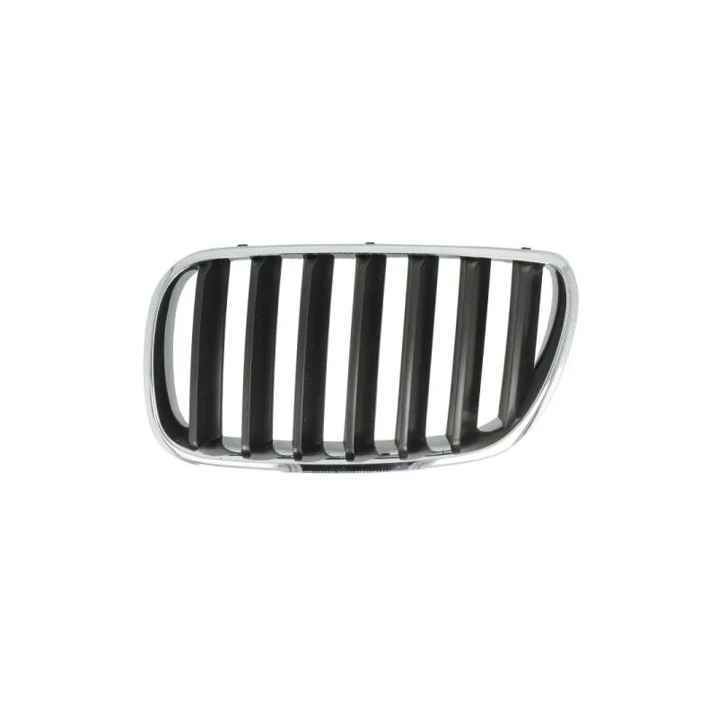 Grille de radiateur avant gauche BLIC 6502-07-00939950P