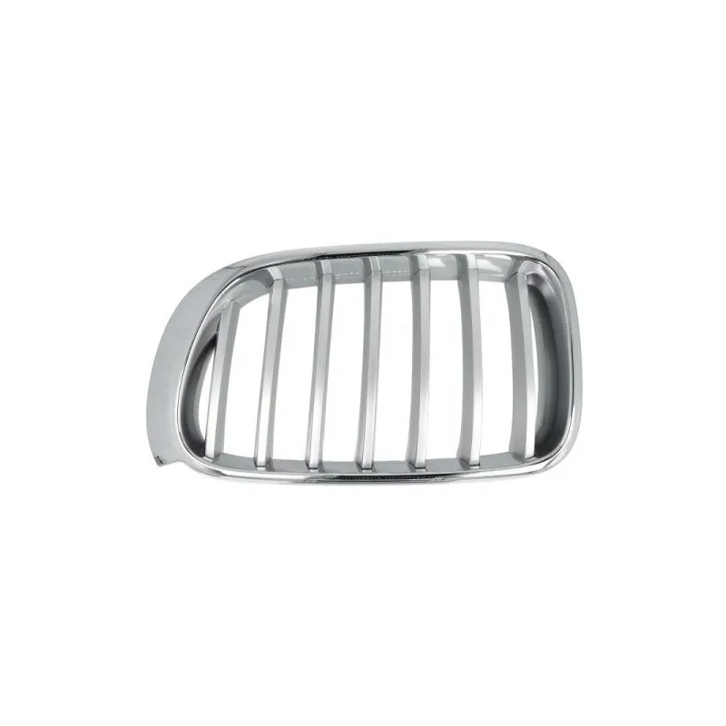 Grille de radiateur avant gauche BLIC 6502-07-00939955P